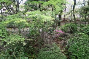 ニュー赤坂コーポラス_2F室内写真