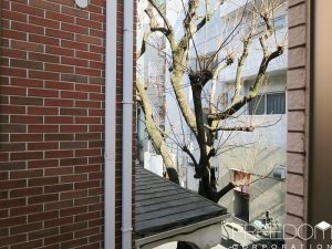 オープンレジデンシア南青山ウエストテラス_2F 