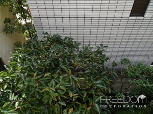 フェニックス南青山_2F