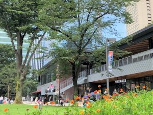 新宿中央公園